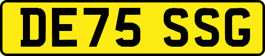 DE75SSG