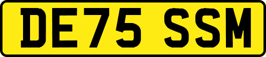 DE75SSM