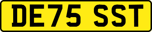 DE75SST