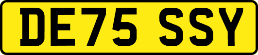 DE75SSY