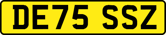 DE75SSZ