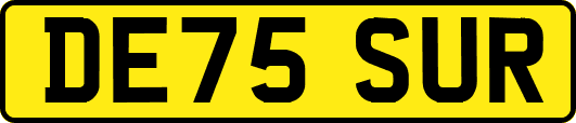 DE75SUR