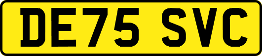 DE75SVC