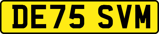 DE75SVM