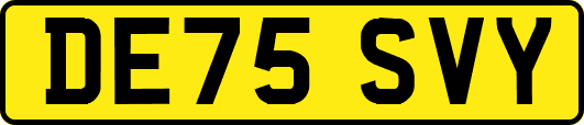 DE75SVY
