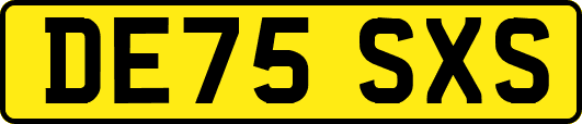 DE75SXS