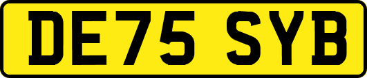 DE75SYB