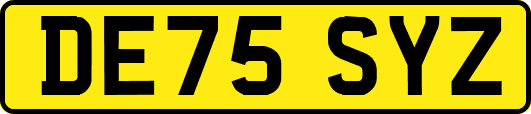 DE75SYZ