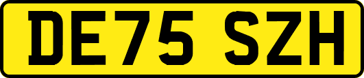 DE75SZH