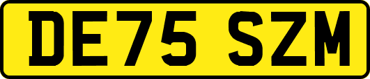 DE75SZM