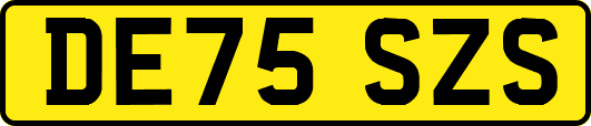 DE75SZS