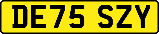 DE75SZY