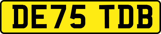 DE75TDB