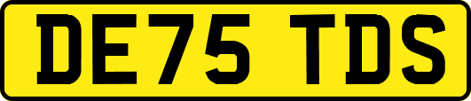DE75TDS