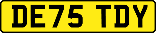 DE75TDY