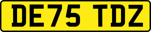 DE75TDZ
