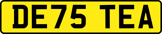 DE75TEA