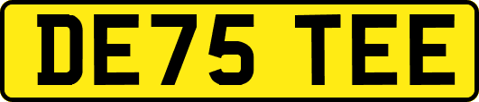 DE75TEE