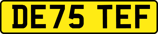 DE75TEF