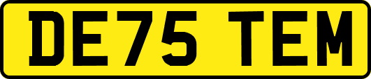 DE75TEM