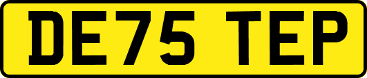 DE75TEP