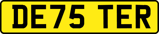 DE75TER