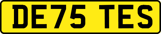 DE75TES