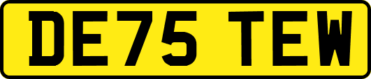 DE75TEW
