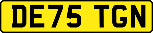 DE75TGN