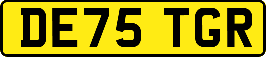 DE75TGR