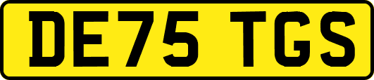 DE75TGS