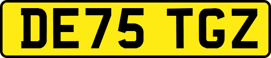 DE75TGZ