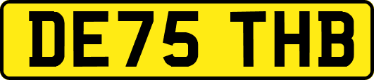 DE75THB