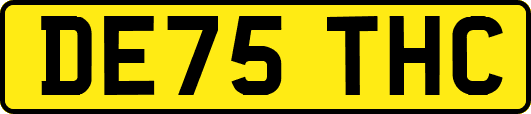 DE75THC