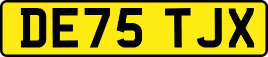 DE75TJX