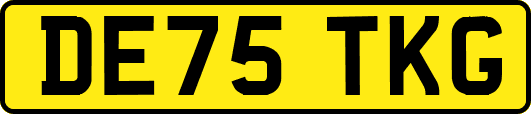 DE75TKG