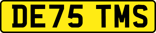 DE75TMS
