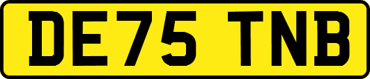 DE75TNB