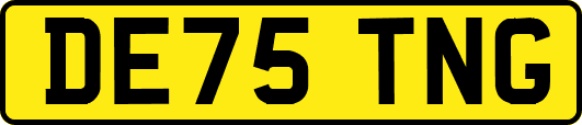 DE75TNG