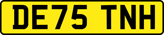 DE75TNH