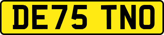 DE75TNO