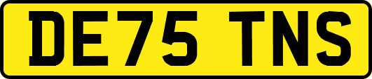 DE75TNS