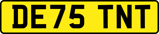 DE75TNT