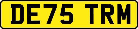 DE75TRM