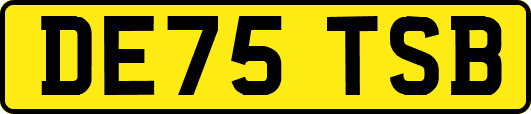 DE75TSB
