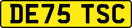 DE75TSC