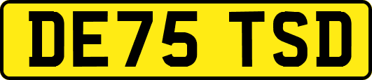 DE75TSD