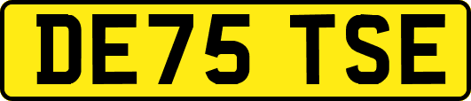 DE75TSE