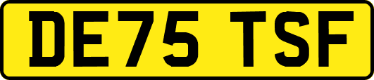 DE75TSF