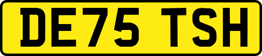 DE75TSH